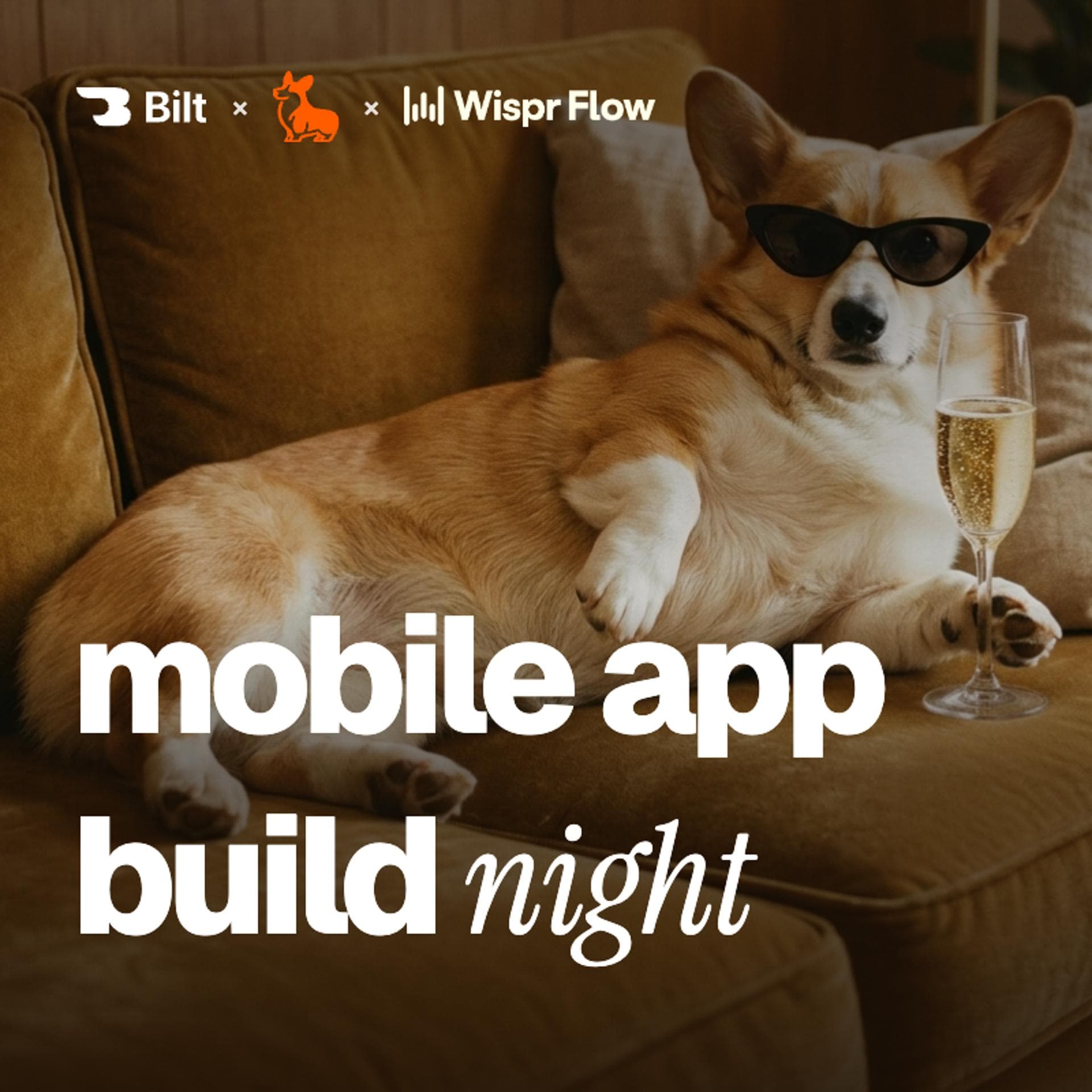 Mobile App Build Night @Corgi Cafe event artwork