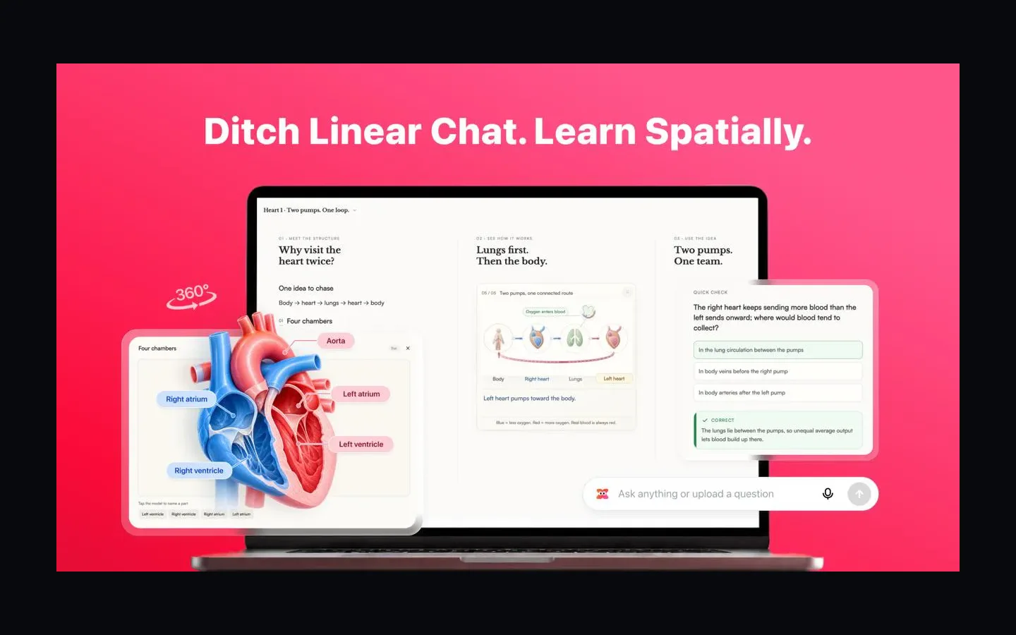 Gauth Unlimited Digital Canvas product preview