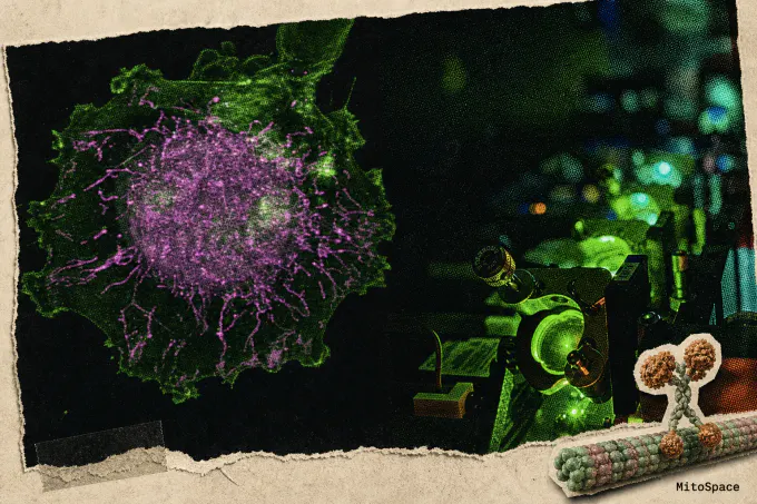 UC San Diego Publishes Virtual Cells That Pair AI With Physics