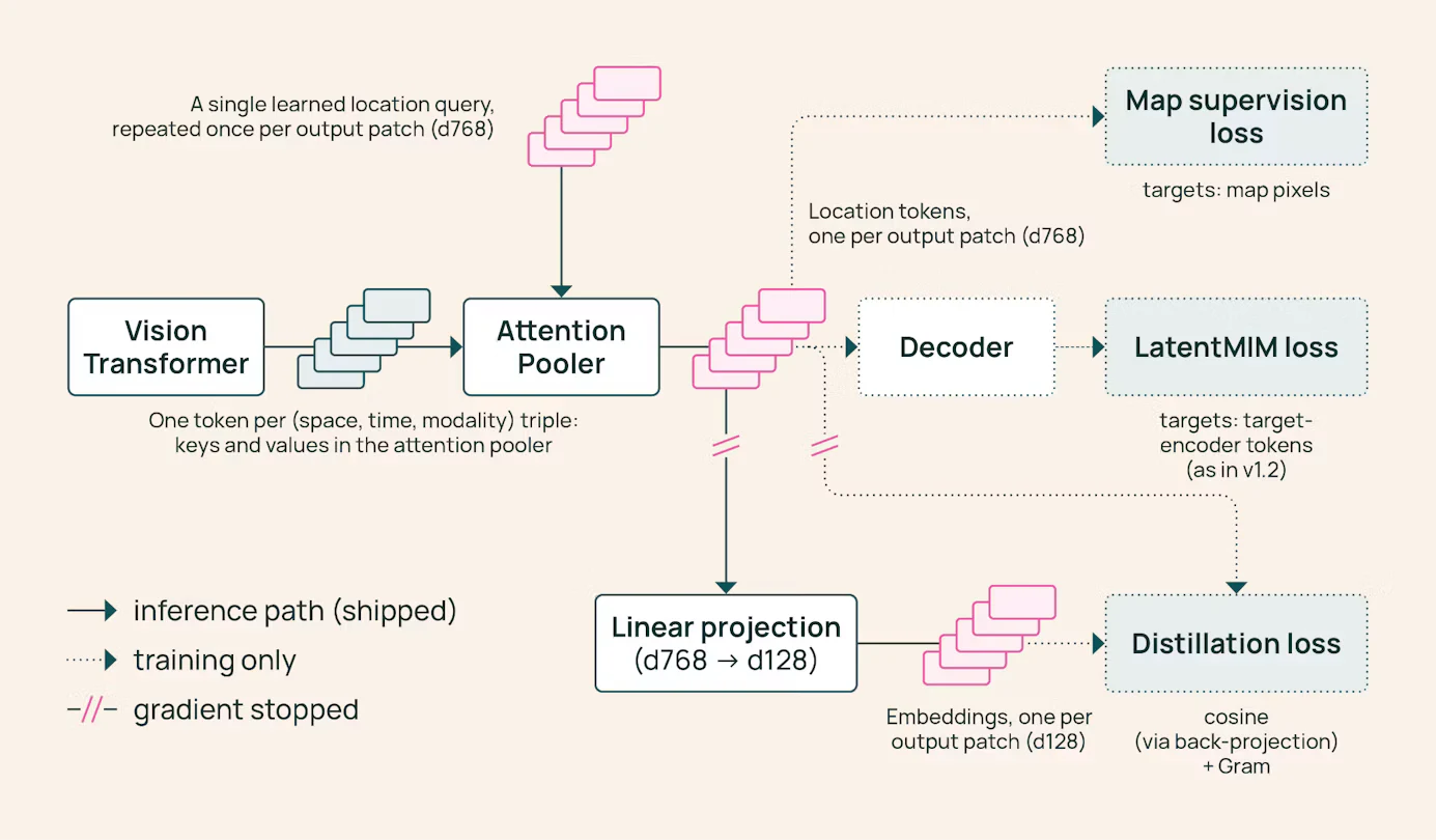 Diagram showing a vision transformer feeding an attention pooler and a linear projection that outputs 128-dimensional embeddings, alongside training-loss paths.