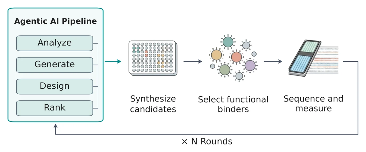 Diagram of an agentic AI pipeline that analyzes, generates, designs and ranks candidates, followed by candidate synthesis, binder selection, and sequencing and measurement over multiple rounds.